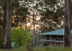 Blue Moon Forest Lodge